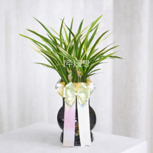 황룡금(검정투각)