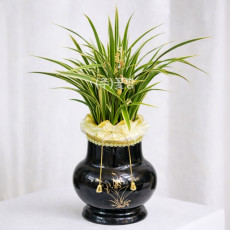 황룡금(검정투각)S